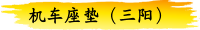 机车座垫（三阳）