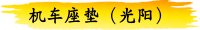 机车座垫（光阳）